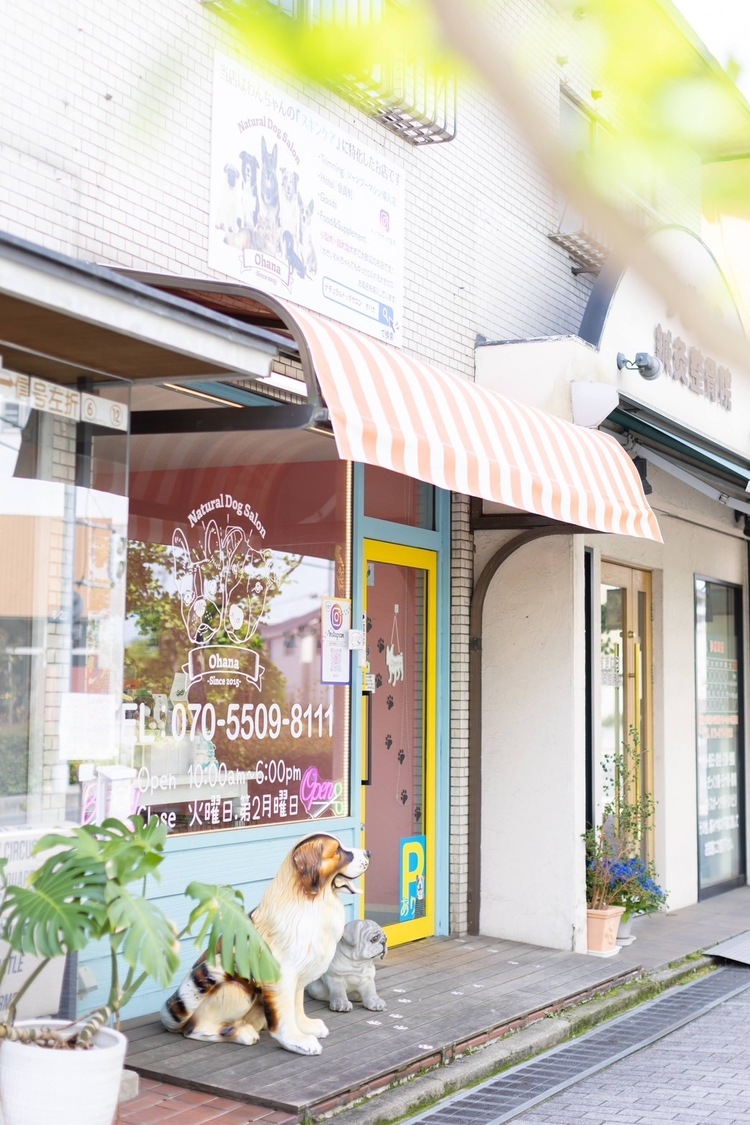 Natural Dog Salon Ohana（オハナ）-大阪府藤井寺市のトリミングサロン